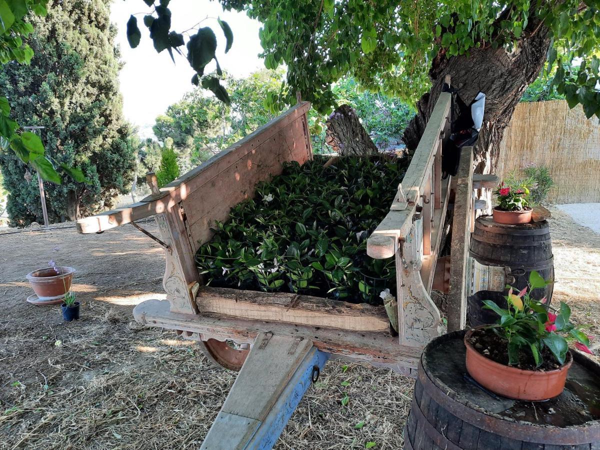 Tenuta Coppa Zuccari Citta Sant'Angelo Luaran gambar