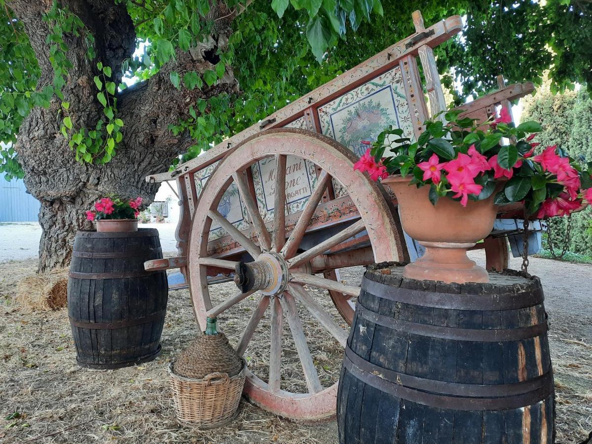 Tenuta Coppa Zuccari Citta Sant'Angelo Luaran gambar