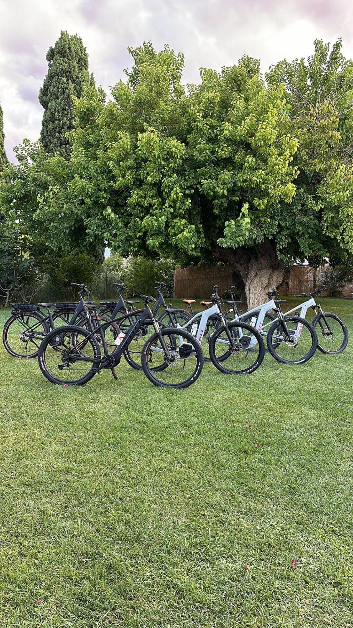 Tenuta Coppa Zuccari Citta Sant'Angelo Luaran gambar